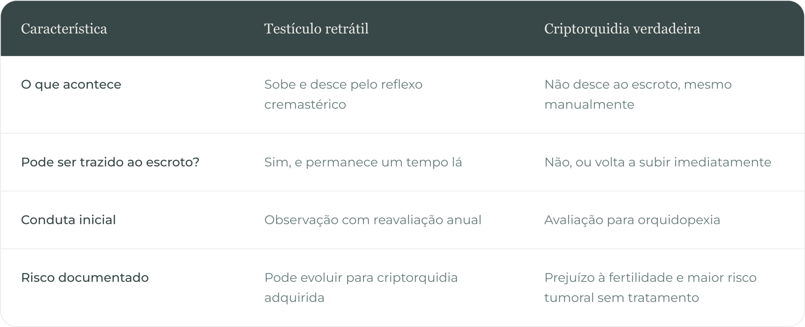 artigo06