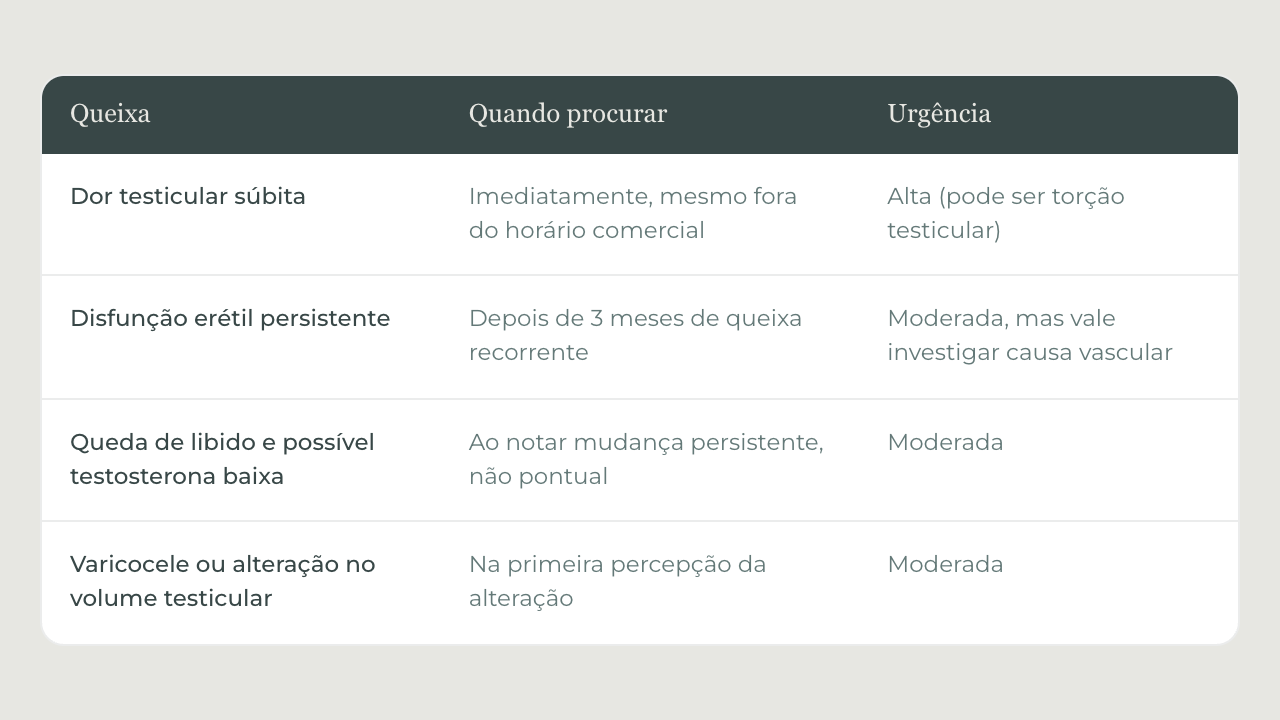 artigo7